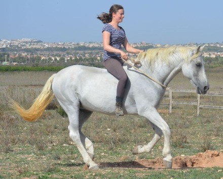 Ferien auf dem Pferd