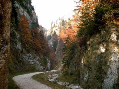 Wandern in der Schlucht in den Bergen